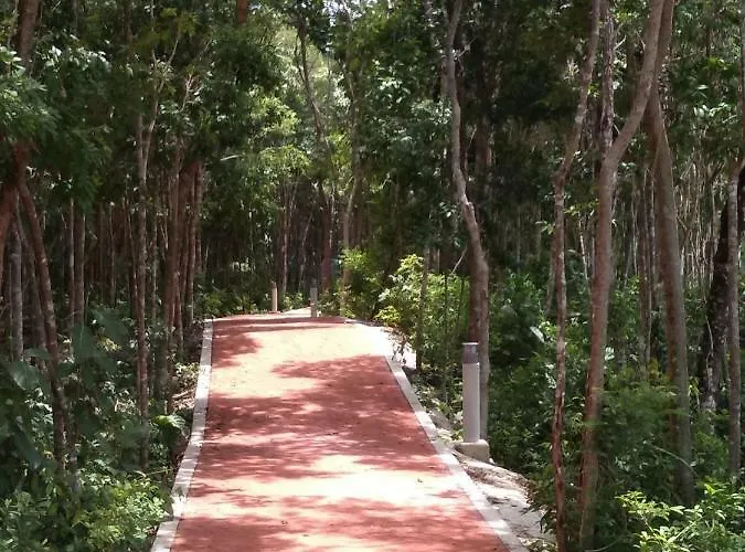 Apartamento Playa Del Carmen *